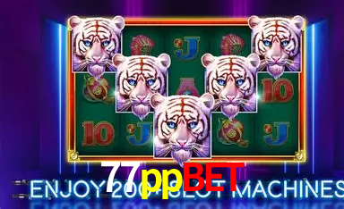 Game shows ao vivo